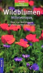 Wildblumen Mitteleuropas Cover des Buches Wildblumen Mitteleuropas (ISBN: 9783576113459)