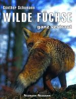 Wilde Füchse - ganz vertraut Cover des Buches Wilde Füchse - ganz vertraut (ISBN: 9783788811006)