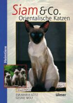Zwei zu Null für Oma Cover des Buches Zwei zu Null für Oma (ISBN: 9783473387458)