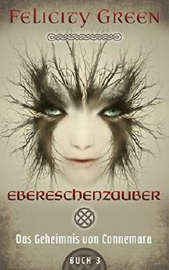 Das Geheimnis von Connemara 3