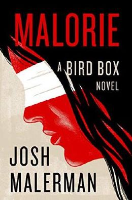 bird box novel