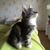 Marieke Mariekes avatar