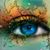 Schwarzbefluegelt Schwarzbefluegelts avatar