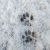 Icelegs Icelegss avatar