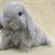 claudia.bettina123 claudia.bettina123s avatar