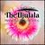 TheUjulala TheUjulalas avatar