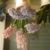Beate29 Beate29s avatar