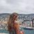 christinamaria christinamarias avatar