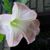 Philiene Philienes avatar