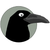 AnkeStrunz AnkeStrunzs avatar