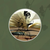 Literaturski Literaturskis avatar