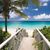 frigga friggas avatar