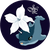 AlexiaDawn AlexiaDawns avatar