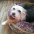 Sally1848 Sally1848s avatar