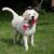 Lasse_S_ Lasse_S_s avatar
