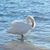 Bibi22322 Bibi22322s avatar