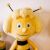 BeeHappy BeeHappys avatar