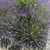 strickmagie_liest strickmagie_liests avatar