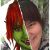 AnnikaLeu AnnikaLeus avatar