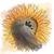 corvus_heliantheae corvus_heliantheaes avatar