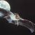Fledertratte Fledertrattes avatar