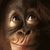 Jessi611 Jessi611s avatar
