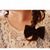 LOVELYXO LOVELYXOs avatar
