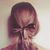 Lady_of_Mystery Lady_of_Mysterys avatar