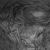 Miskatonic-Inc. Miskatonic-Inc.s avatar