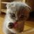 Yayda Yaydas avatar