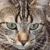 jennyjenny jennyjennys avatar