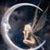 silvermondfee silvermondfees avatar