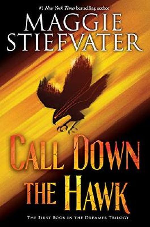 call down the hawk maggie stiefvater