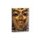 The Complete Tutankhamun: The King, The Tomb, The Royal Treasure Cover des Buches The Complete Tutankhamun: The King, The Tomb, The Royal Treasure (ISBN: 9780500278109)