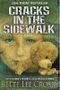 Cracks in the Sidewalk Cover des Buches Cracks in the Sidewalk (ISBN: 9780983887904)