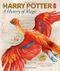 Harry Potter - A History of Magic: The Book of the Exhibition Cover des Buches Harry Potter - A History of Magic: The Book of the Exhibition (ISBN: 9781408890769)