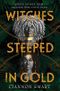 Witches Steeped in Gold Cover des Buches Witches Steeped in Gold (ISBN: 9781471409585)