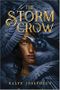 The Storm Crow Cover des Buches The Storm Crow (ISBN: 9781492672937)