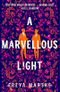 A Marvellous Light (English Edition) Cover des Buches A Marvellous Light (English Edition) (ISBN: 9781529080889)