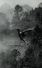 Sad Birds Still Sing Cover des Buches Sad Birds Still Sing (ISBN: 9781548966683)