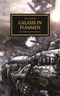 Horus Heresy - Galaxis in Flammen Cover des Buches Horus Heresy - Galaxis in Flammen (ISBN: 9781781930977)