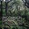 Uncommon Ground: A word-lover's guide to the British landscape Cover des Buches Uncommon Ground: A word-lover's guide to the British landscape (ISBN: 9781783350483)