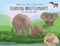 Learning About Elephants - Paperback Cover des Buches Learning About Elephants - Paperback (ISBN: 9781939871879)