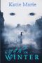 A Man in Winter Cover des Buches A Man in Winter (ISBN: 9781957537054)