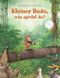Kleiner Dodo, was spielst du? Cover des Buches Kleiner Dodo, was spielst du? (ISBN: 9783314007200)