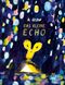 Das kleine Echo Cover des Buches Das kleine Echo (ISBN: 9783314105920)