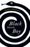Black Mamba Boy Cover des Buches Black Mamba Boy