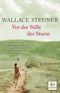 Vor der Stille der Sturm Cover des Buches Vor der Stille der Sturm (ISBN: 9783423248983)