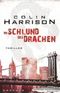 Im Schlund des Drachen Cover des Buches Im Schlund des Drachen (ISBN: 9783426198674)