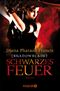 Shadowblade: Schwarzes Feuer Cover des Buches Shadowblade: Schwarzes Feuer (ISBN: 9783426411964)